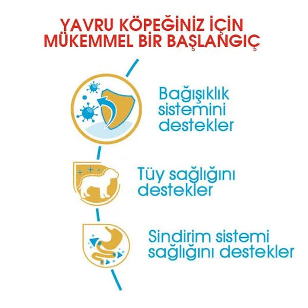 Royal Canin Poodle Junior Yavru Köpek Maması 3 Kg