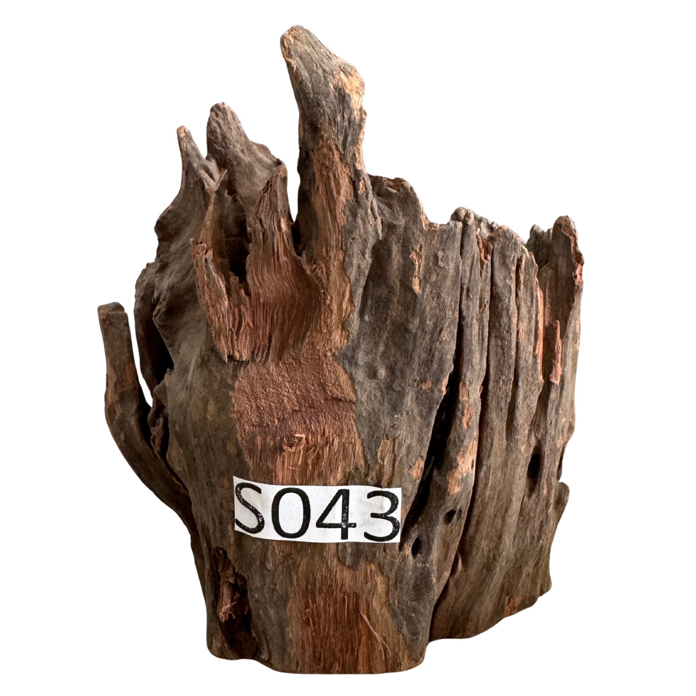 Creaqua Stump Wood Dekor Ağaç Gövdesi S 10-20 Cm - Small 43