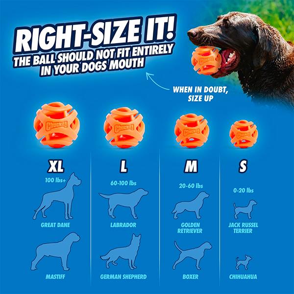 Chuckit Air Fetch Ball Köpek Oyun Topu Orta Boy
