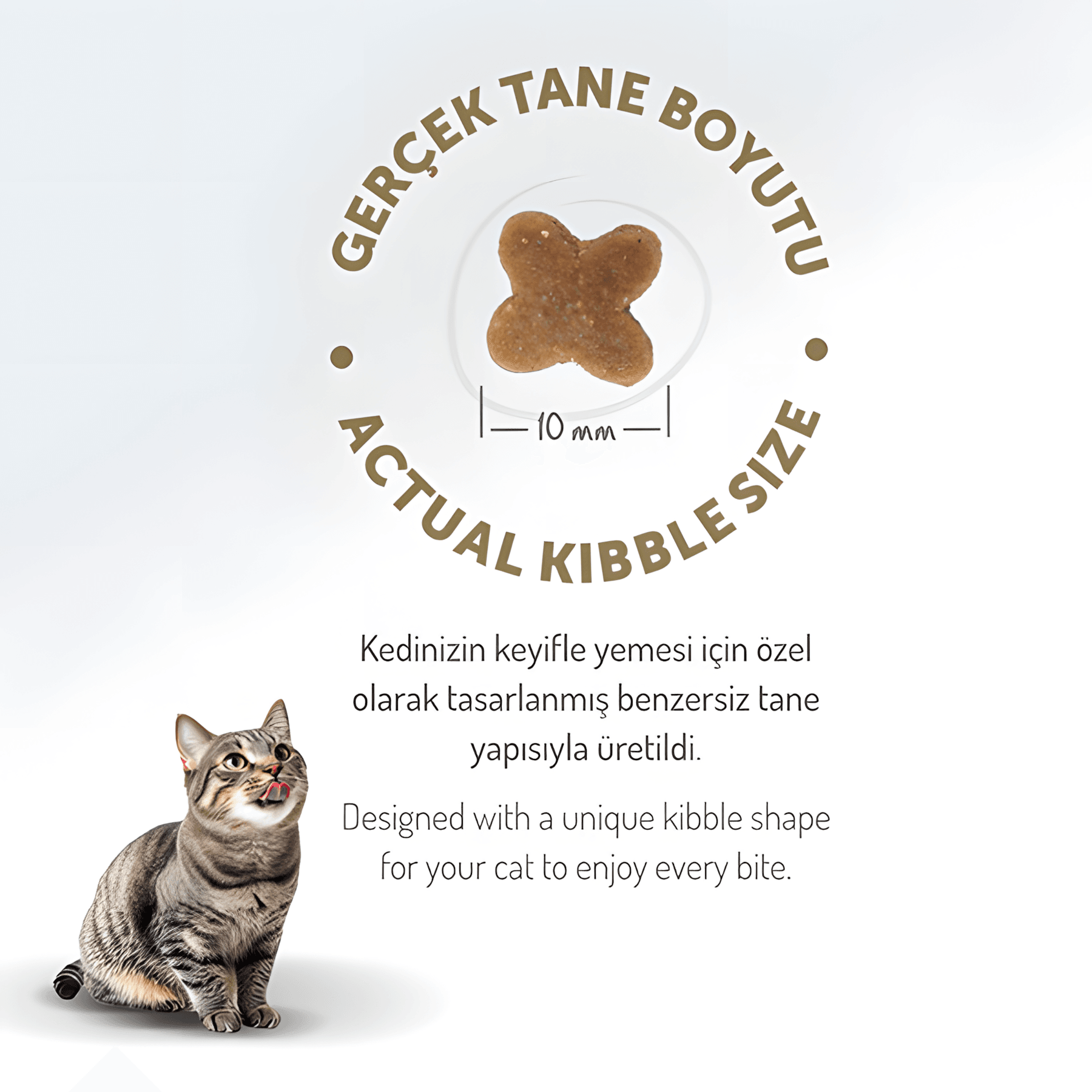Felicia Az Tahıllı Tavuklu Hypoallergenic Kolajenli Yavru Kedi Maması 12Kg