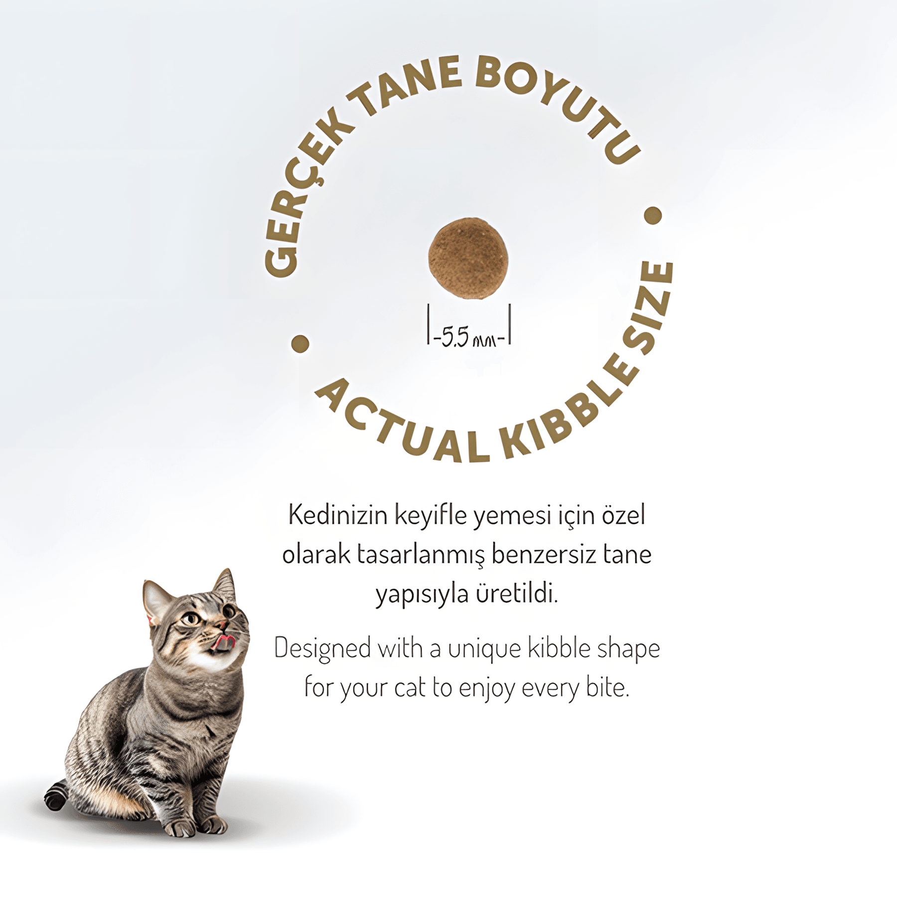 Felicia Az Tahıllı Kuzu Etli Hypoallergenic Kolajenli Yavru Kedi Maması 12Kg