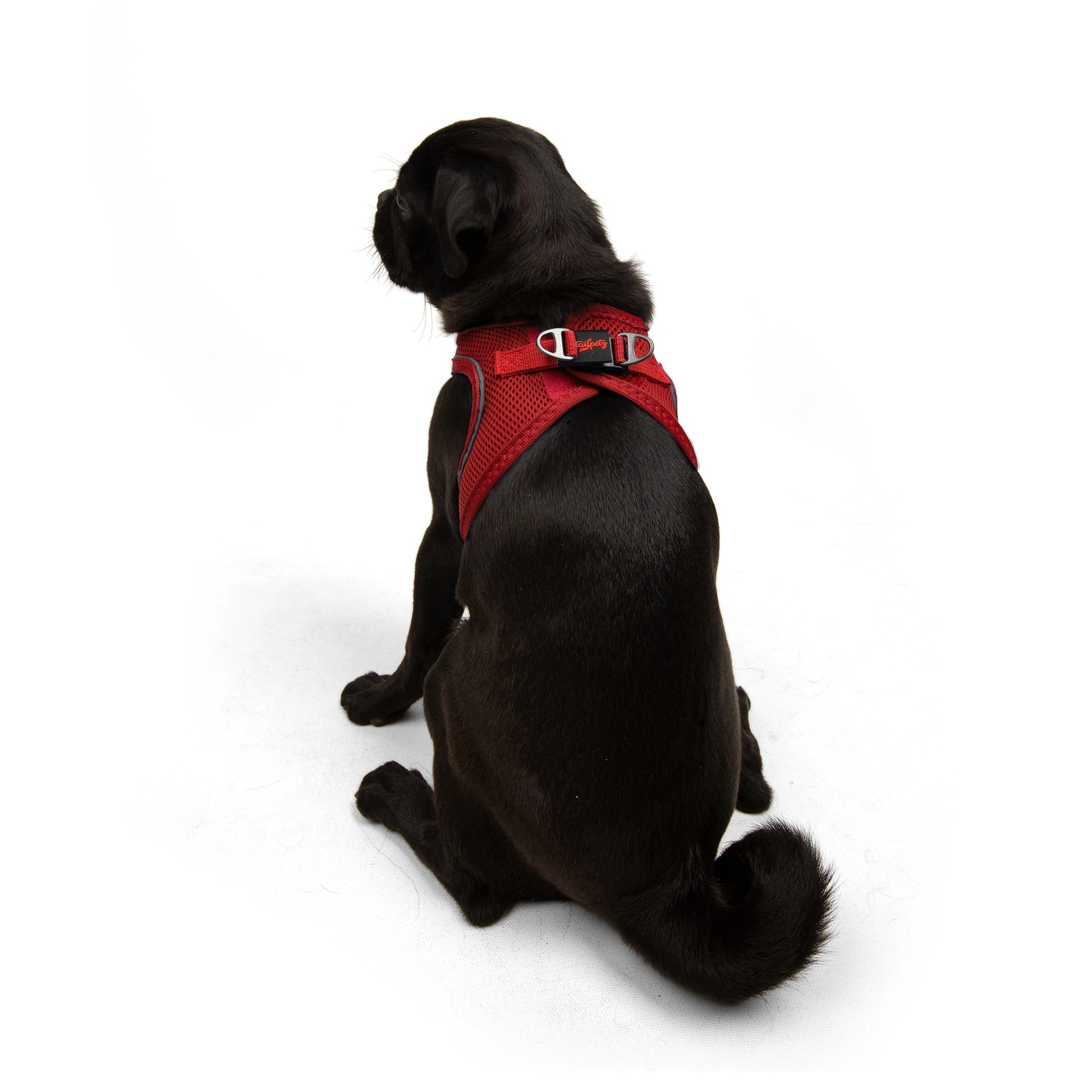 Tailpetz Air-Mesh Harness Red M