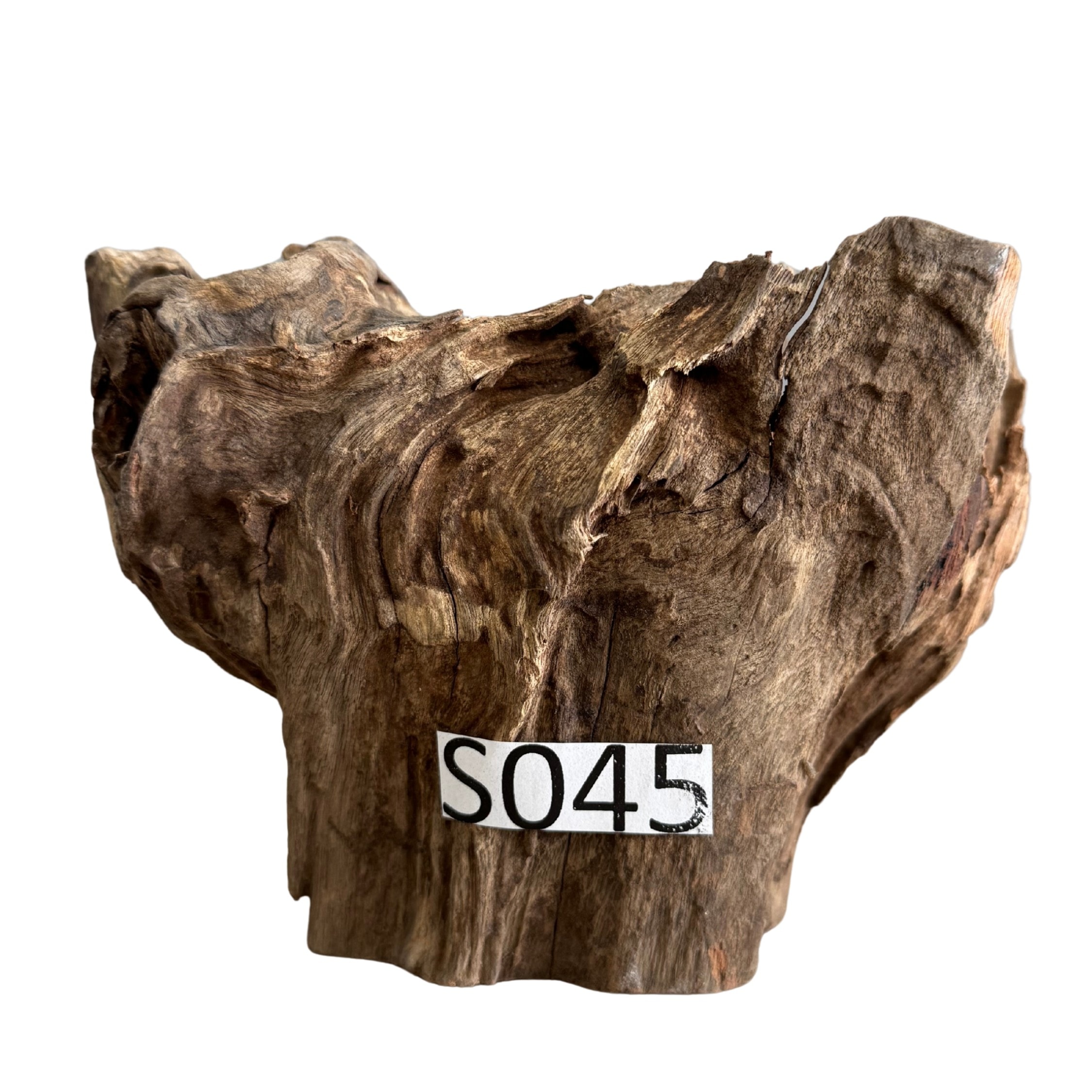 Creaqua Stump Wood Dekor Ağaç Gövdesi S 10-20 Cm - Small 45