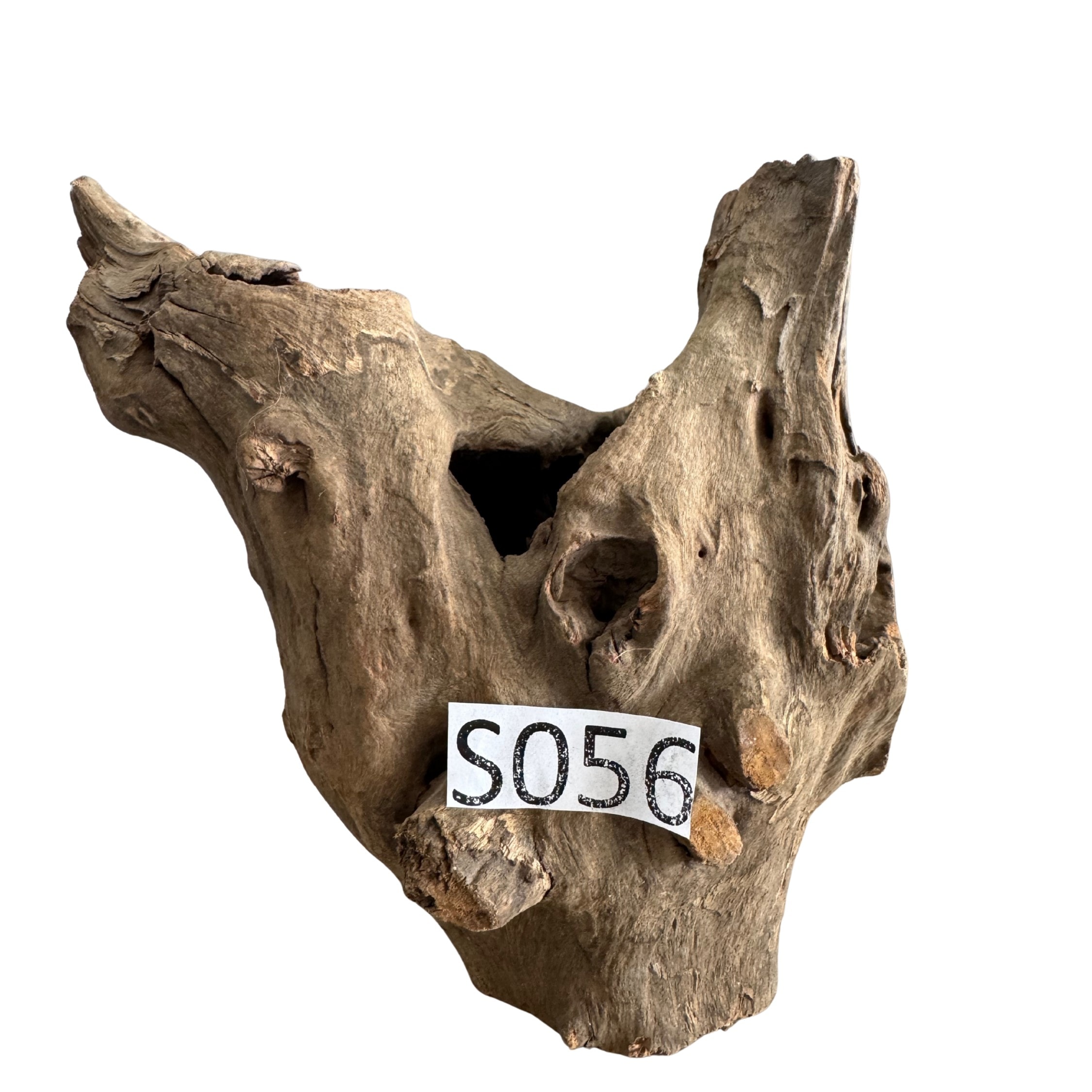 Small 56