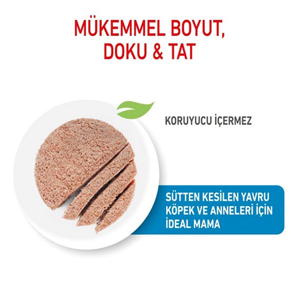 Royal Canin Starter Mousse Yavru Köpek Konservesi 195gr