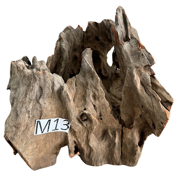 Medium 13