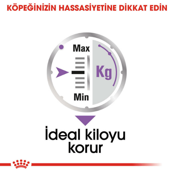 Royal Canin All Sizes Sterilised Pouch Kısır Köpek Maması 12x85gr