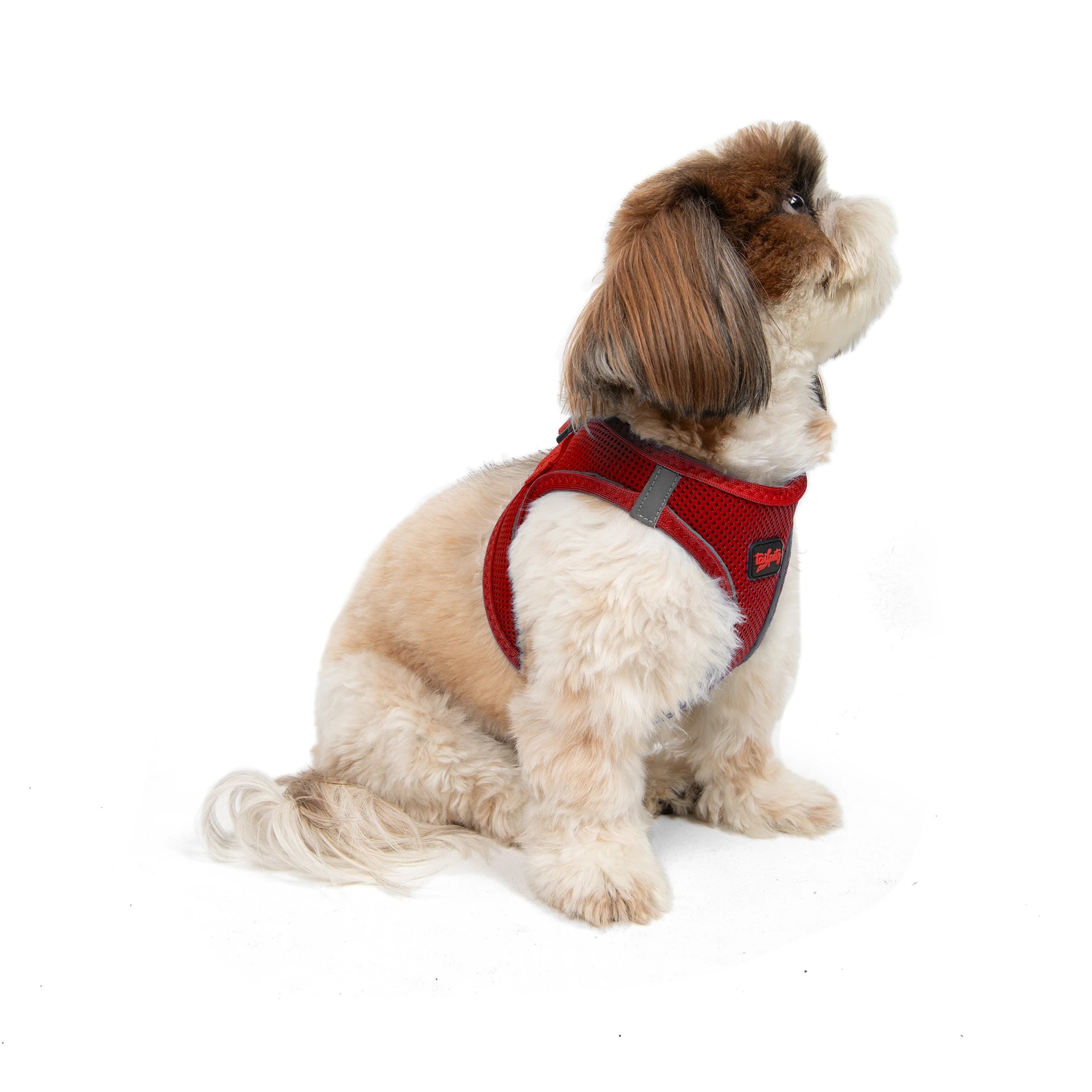 Tailpetz Air-Mesh Harness Red XS