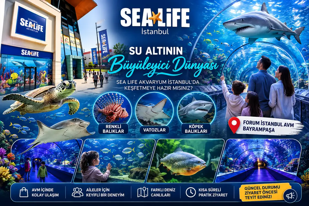 Sea Life İstanbul Akvaryum’da köpekbalıkları, vatozlar, deniz kaplumbağaları ve renkli balıklarla çevrili su altı tünelini keşfeden aile.