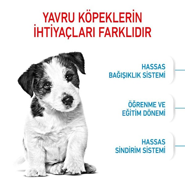 Royal Canin Mini Puppy Yavru Köpek Maması 4 Kg