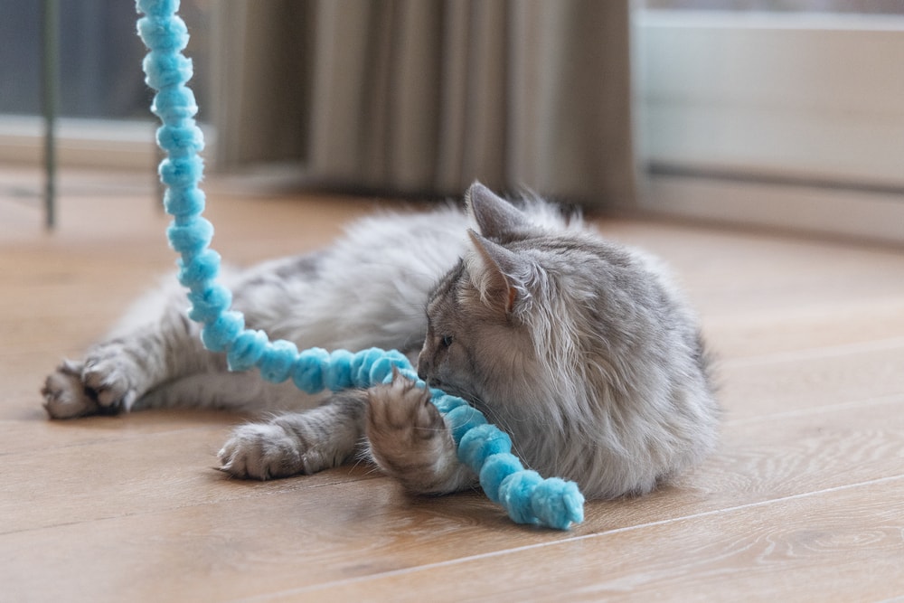 Beeztees Kedi Oltası, Peluş Toplar