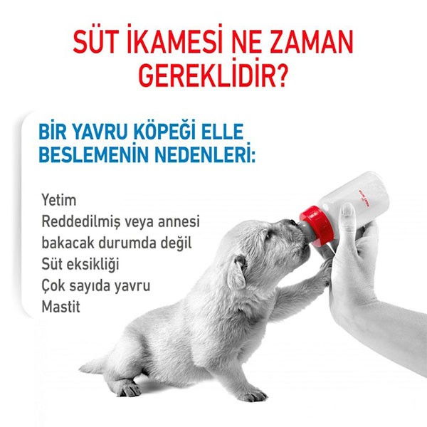Royal Canin Babydog Milk Yavru Köpek Süt Tozu 400gr