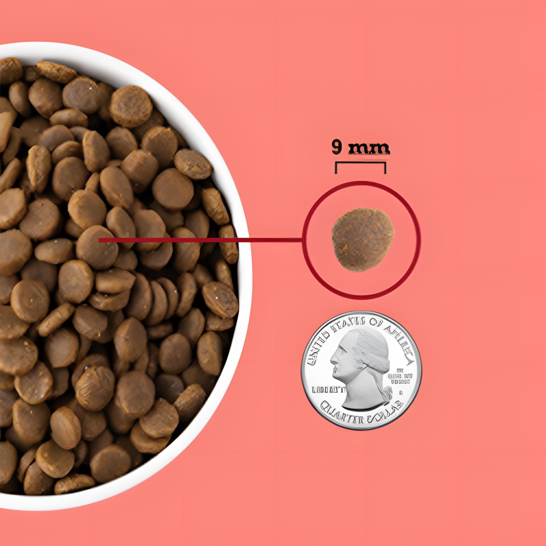 Acana Indoor Yüksek Proteinli Tavuklu ve Balıklı Yetişkin Kedi Maması 1.8kg