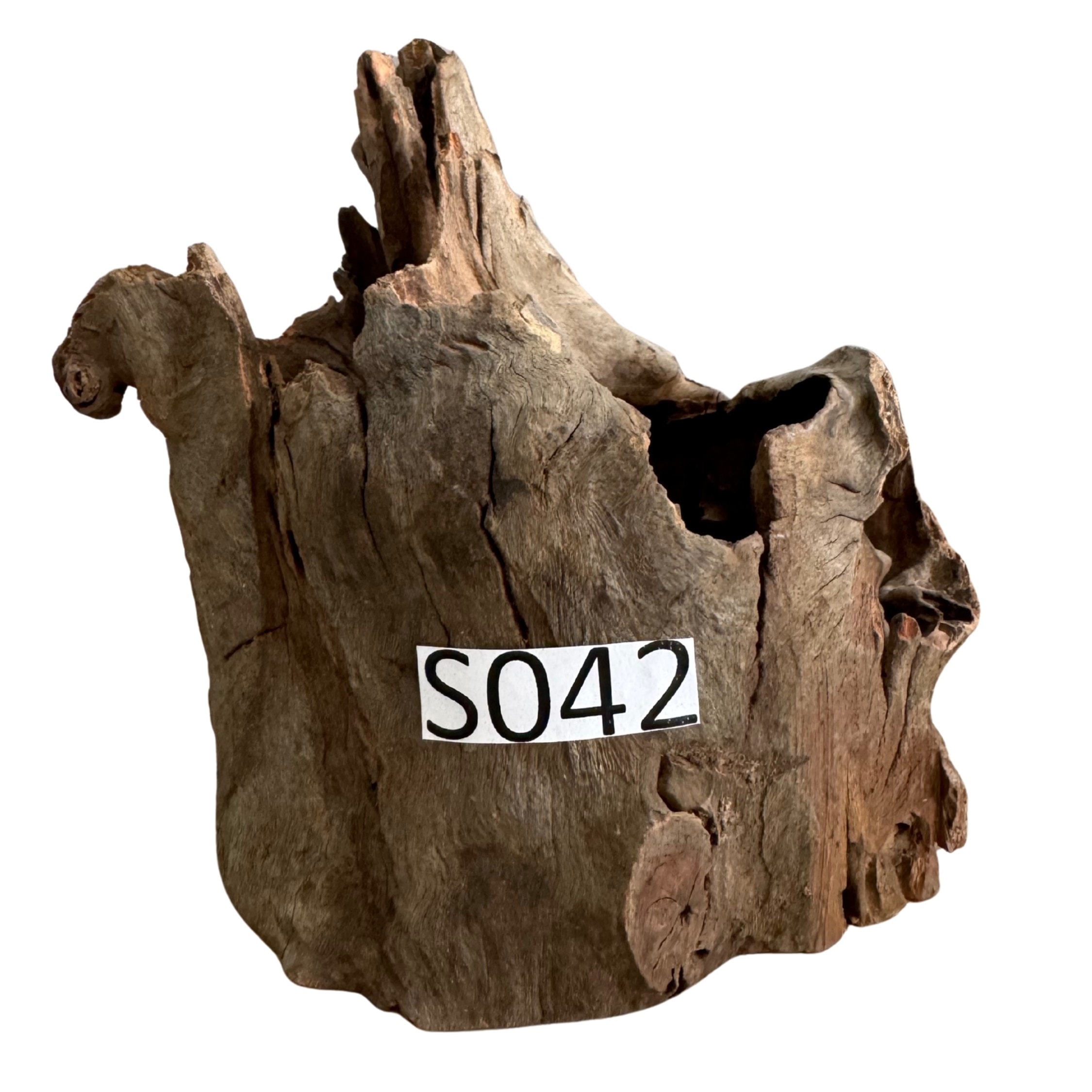 Creaqua Stump Wood Dekor Ağaç Gövdesi S 10-20 Cm - Small 42