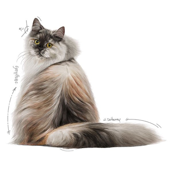 Royal Canin Care Hair&Skin Sağlıklı Tüyler İçin Yaş Kedi Maması 85gr