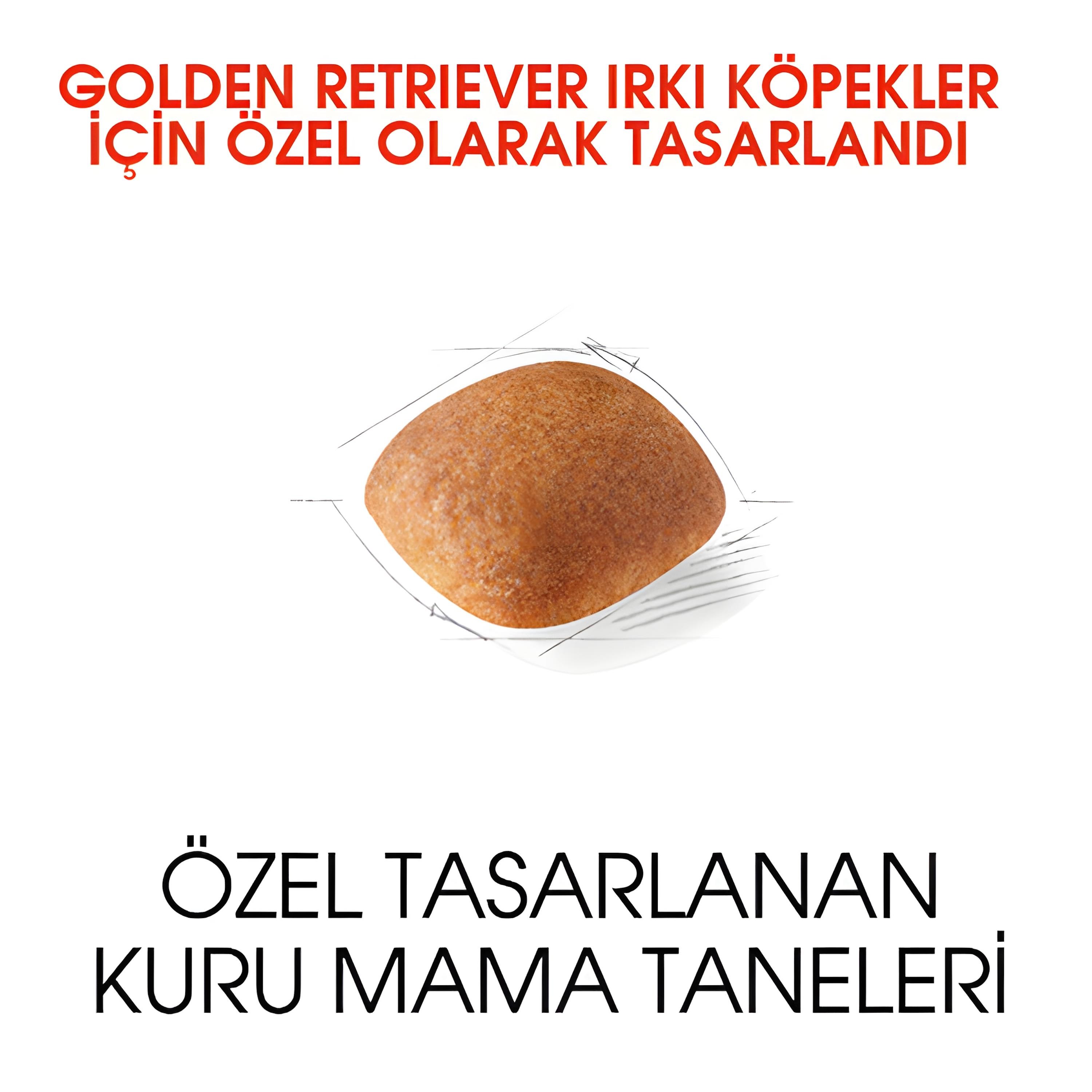 Royal Canin Golden Retriever Yetişkin Köpek Maması 12Kg