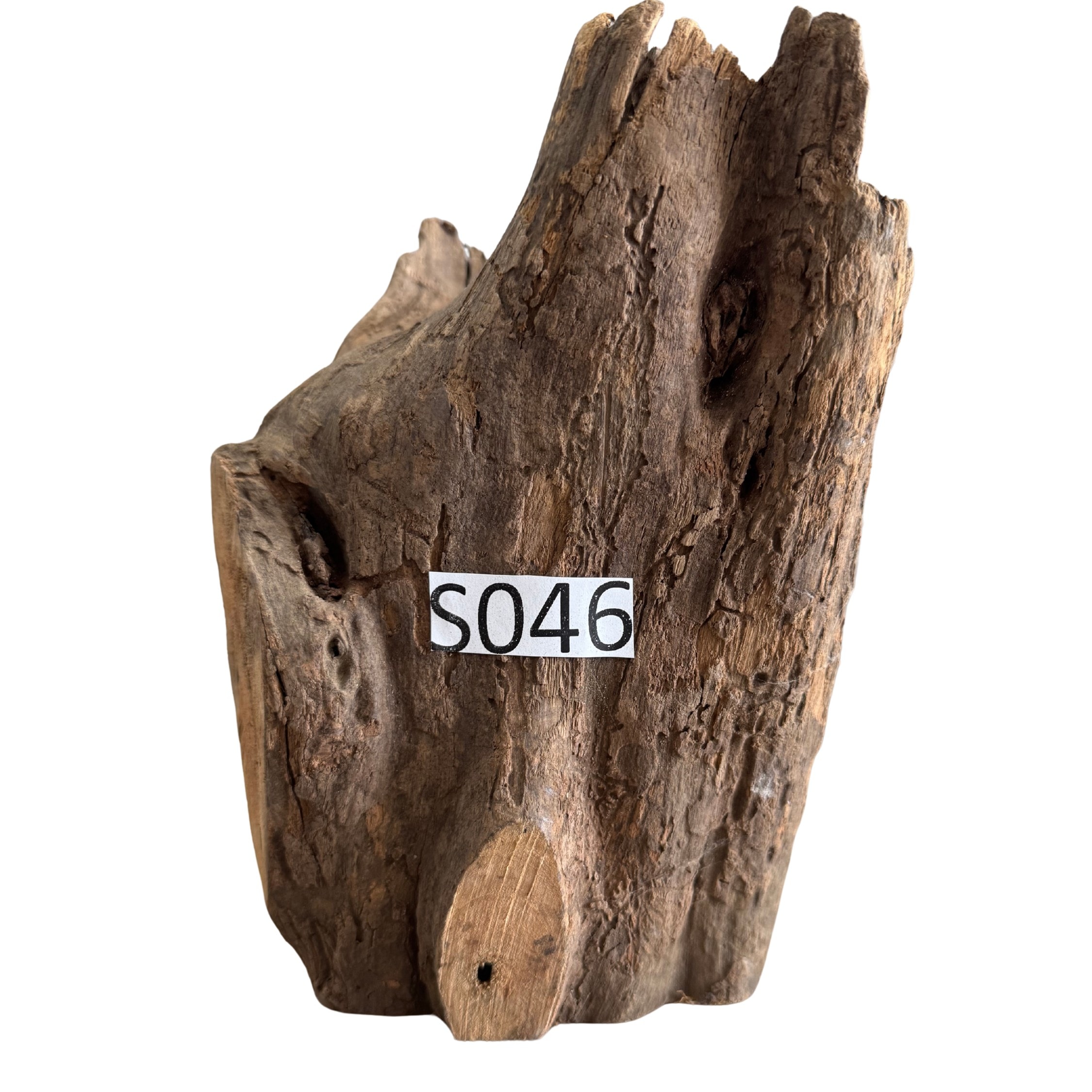Creaqua Stump Wood Dekor Ağaç Gövdesi S 10-20 Cm - Small 46