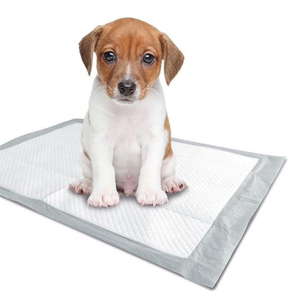 M-Pets Yavru Köpek Çiş Eğitim Pedi 60x60cm 30lu Paket