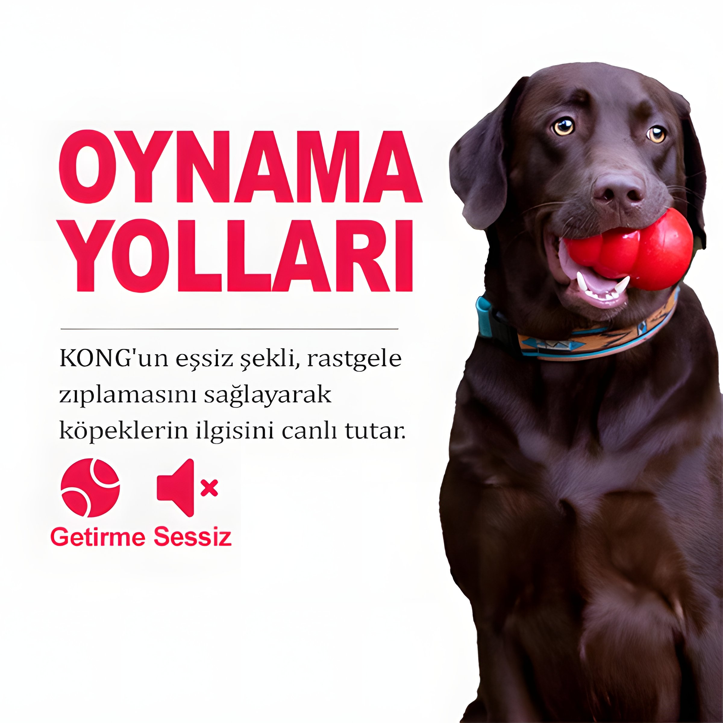 Kong Bounzer Zıplayan Yumuşak Köpek Oyuncağı L 20cm 