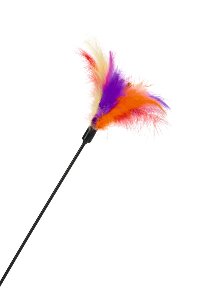 Beeztees Kedi Oltası, Tüylü Uc-12cm, 45cm