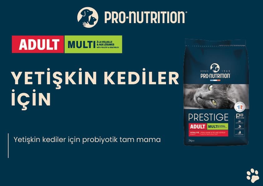 Pro Nutrition Adult Yetişkin Tavuklu Kedi Maması Paketten Bölme 1Kg