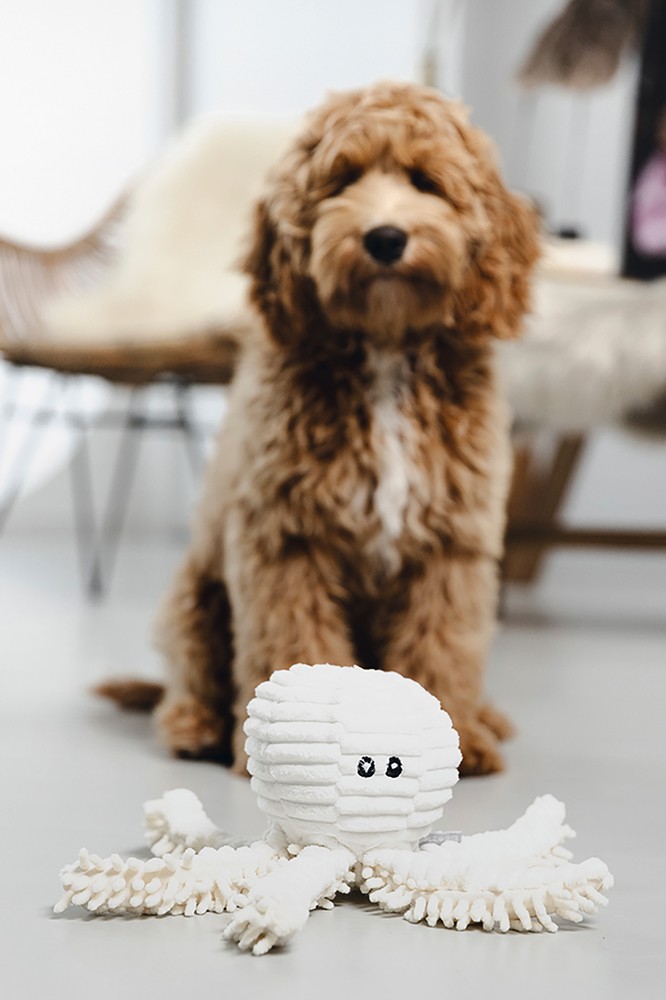 Beeztees Köpek Oyuncağı, Ahtapot, Peluş, Beyaz, 26x13x13cm