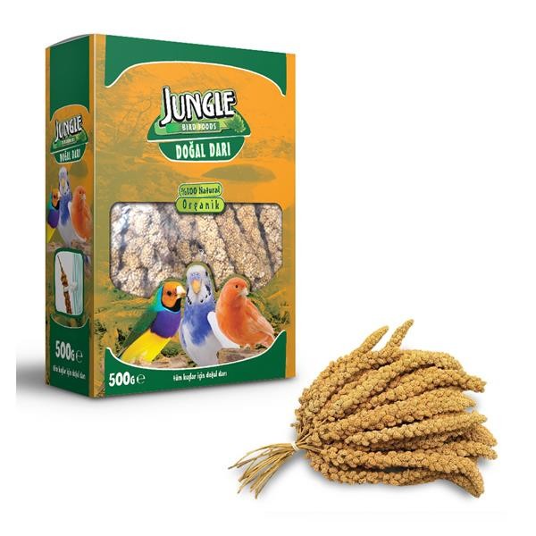 Jungle Doğal Dal Darı 500Gr