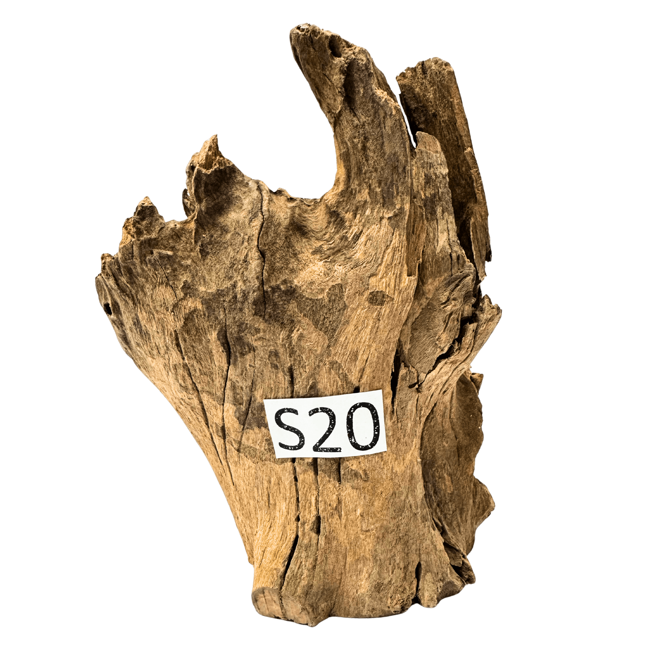 Small 20