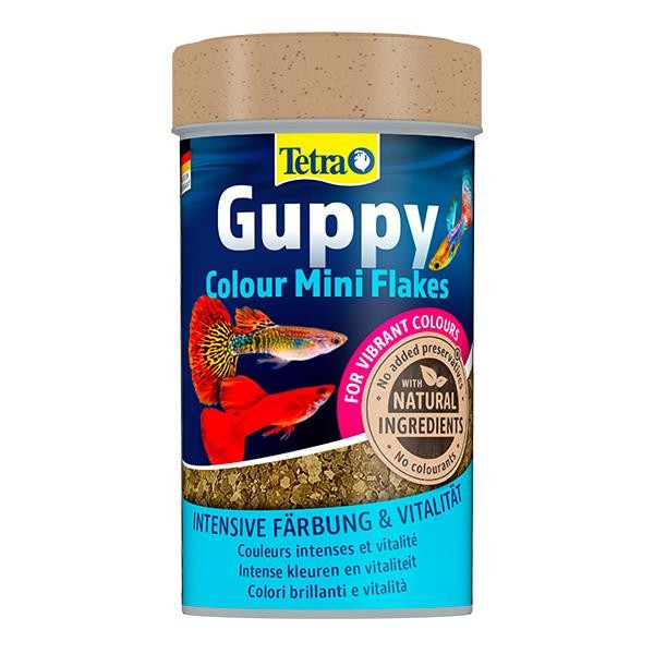 Tetra Guppy Colour Mini Flakes Pul Lepistes Yemi 100ml