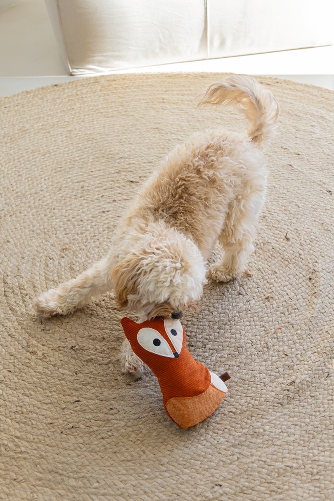 Beeztees DBL Köpek Oyuncağı, Sesli, Tilki, Peluş, Turuncu, 25,5cm
