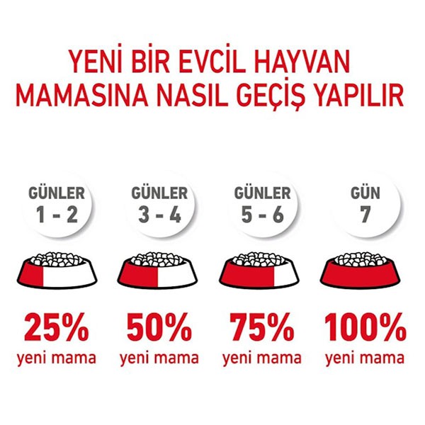 Royal Canin Hair Skin Hassas Tüylü Yetişkin Kedi Maması 4Kg