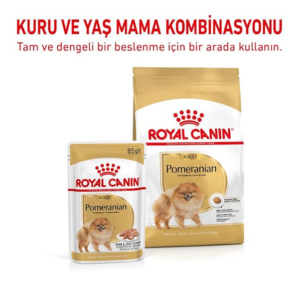 Royal Canin Adult Pomeranian Yetişkin Pouch Maması 85gr