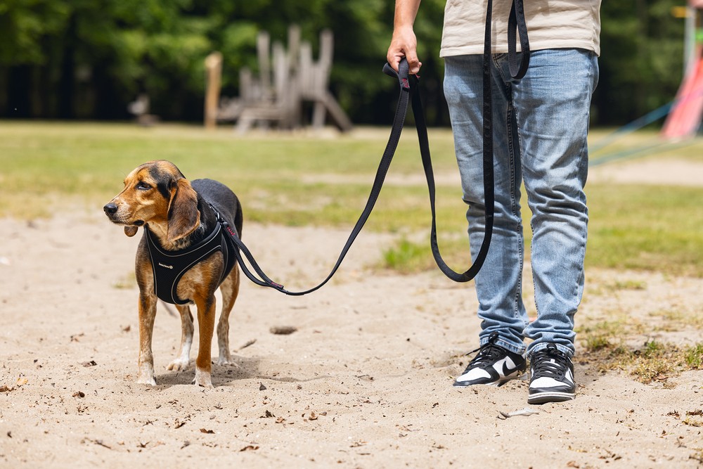 Beeztees Köpek Göğüs Tasması, Neopren, Siyah, M, 41-46cm