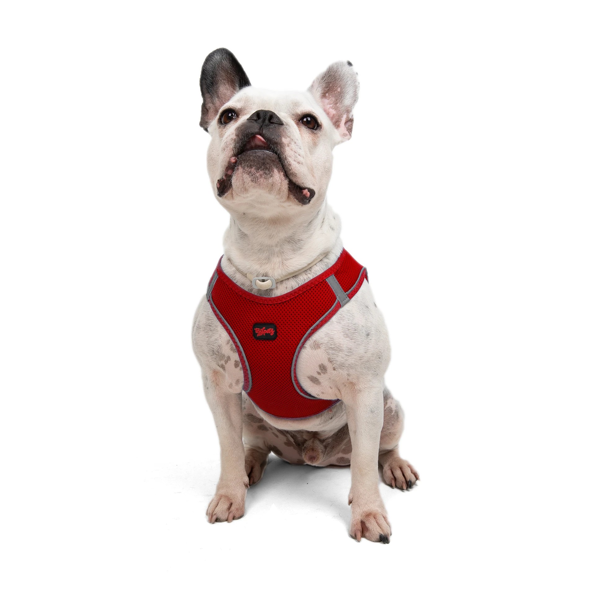 Tailpetz Air-Mesh Harness Red L