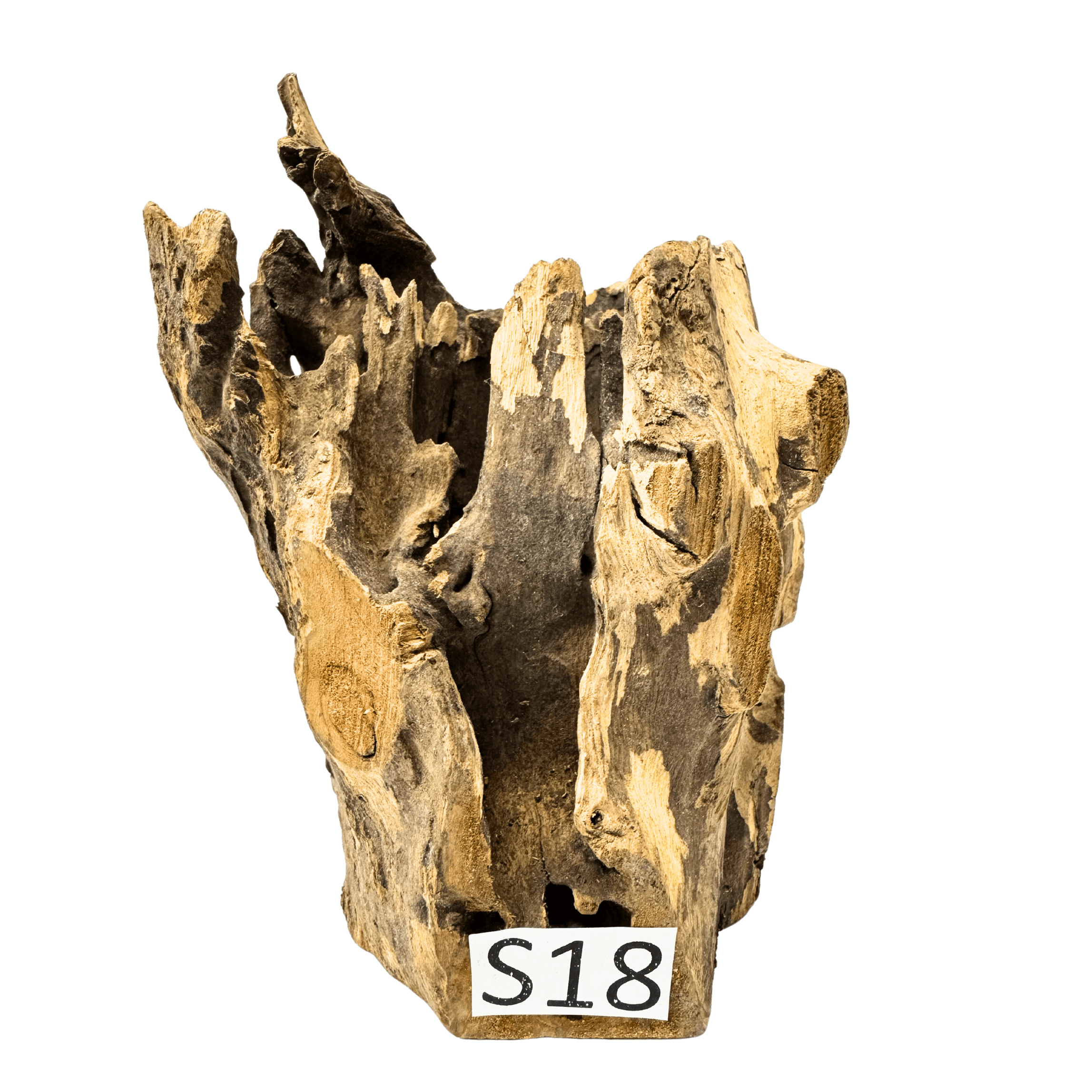 Creaqua Stump Wood Dekor Ağaç Gövdesi S 10-20 Cm - Small 18