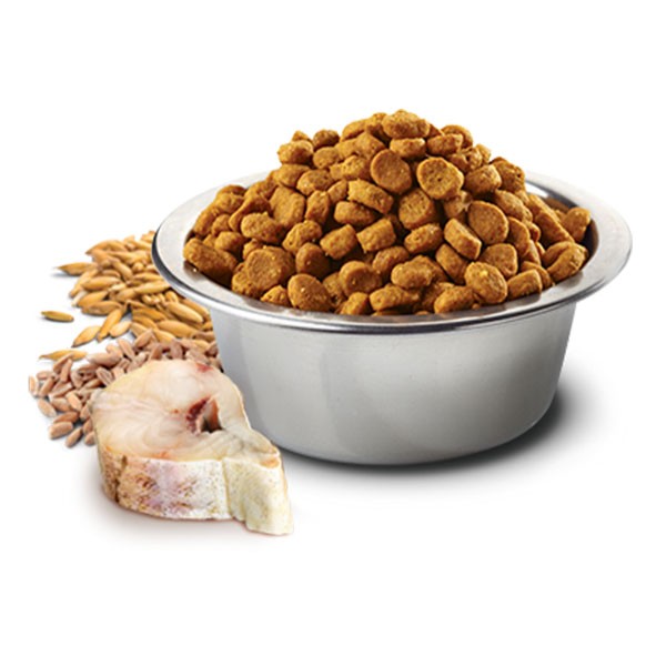 ND Ocean Morina Balıklı ve Portakallı Düşük Tahıllı Yetişkin Kedi Maması 5Kg