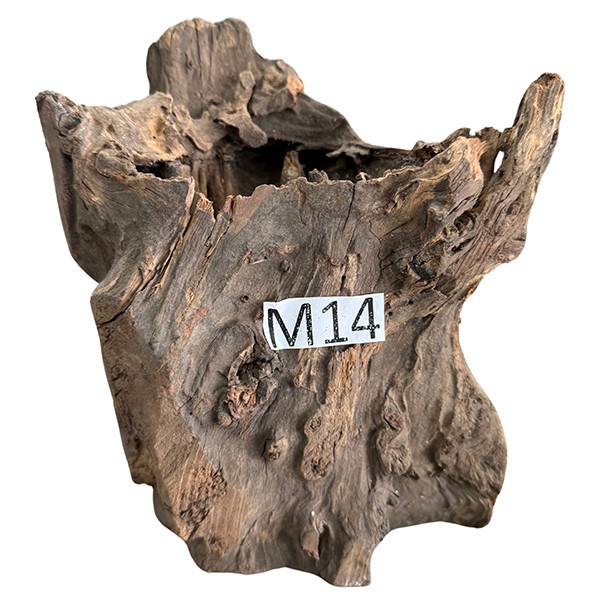 Medium 14