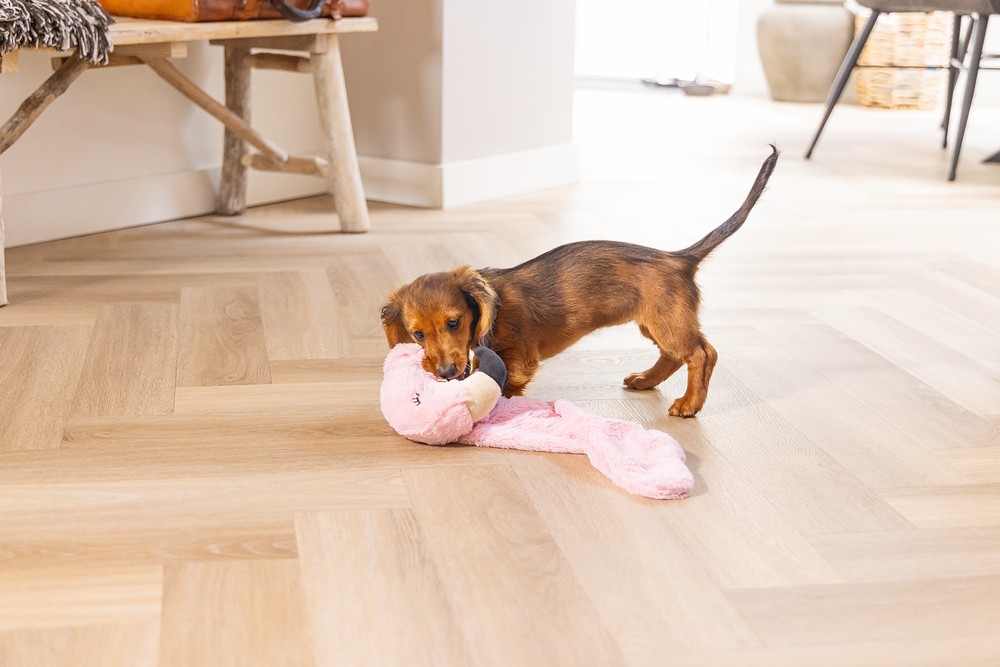 Beeztees Yavru Köpek Oyuncağı, Flamingo, Peluş, Pembe, 72x27x5cm