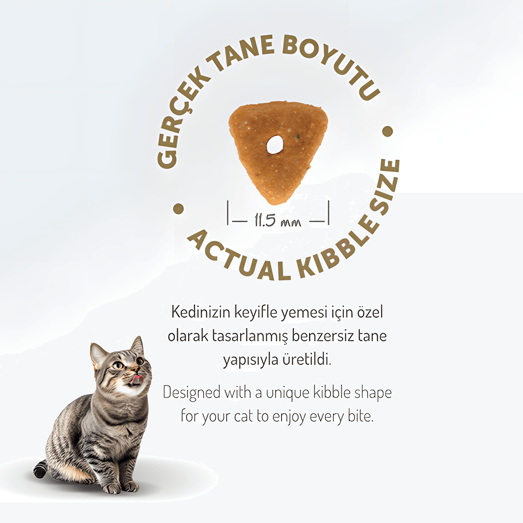 Felicia Az Tahıllı Somon Balıklı Hypoallergenic Kolajenli Kısırlaştırılmış Kedi Maması 2Kg