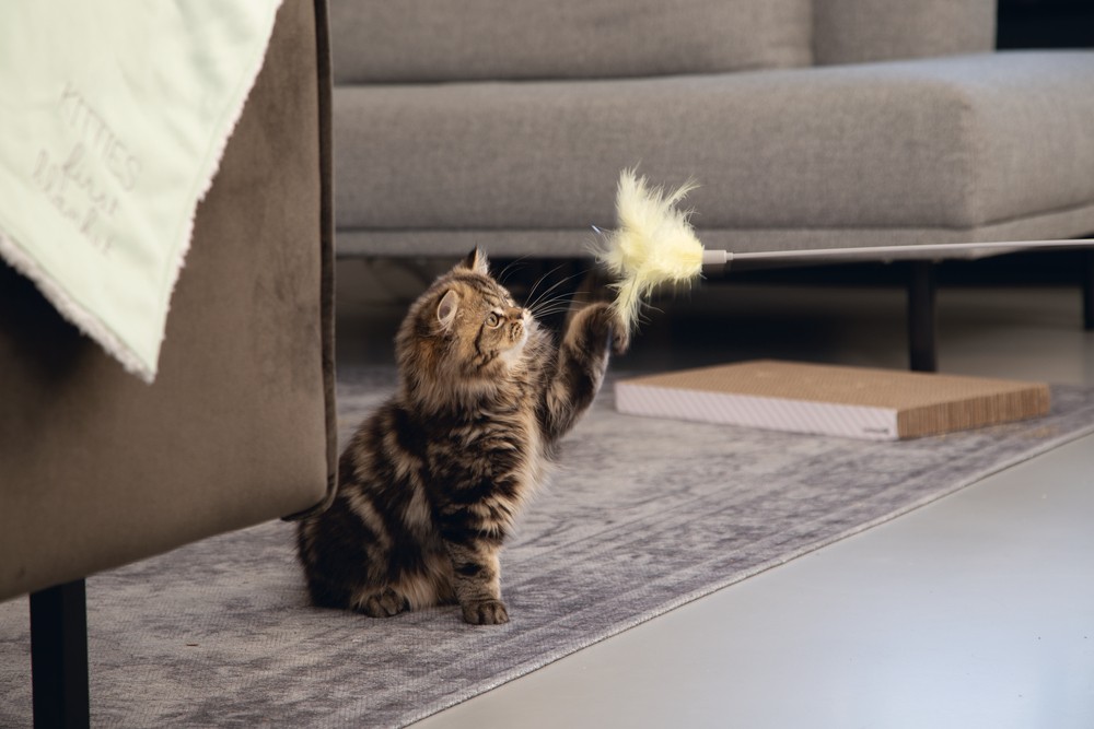Beeztees Kedi Oltası, Tüylü, 45cm