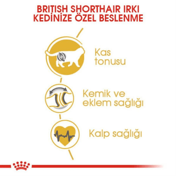 Royal Canin British Shorthair Yetişkin Kedi Maması 2 Kg