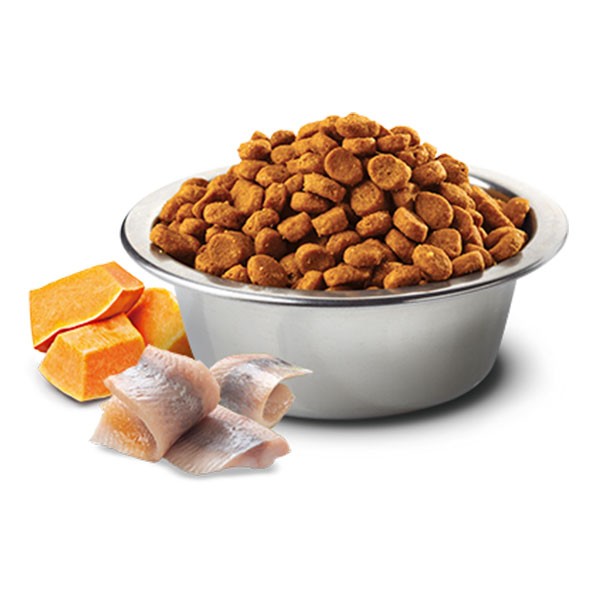 ND Ocean Ringa Balığı&Portakallı&Bal Kabaklı Tahılsız Yetişkin Kedi Maması 1,5 Kg