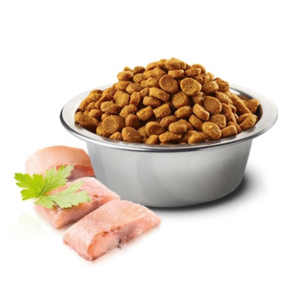 ND Ocean Ringa Balığı Portakallı Tahılsız Yetişkin Kedi Maması 300gr