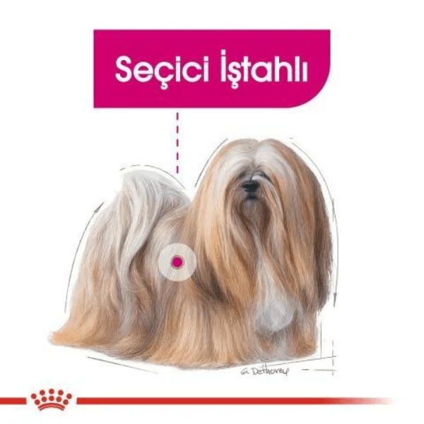 Royal Canin All Sizes Exigent Pouch Köpek Maması 85gr