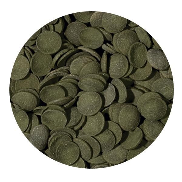 Tropical Green Algae Wafers 1000ml 450gr