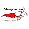 Shrimps Forever