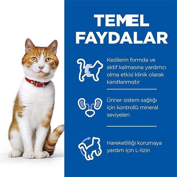 Hills Kısırlaştırılmış Ördekli Yetişkin Kedi Maması 8+2Kg Bonus Paket