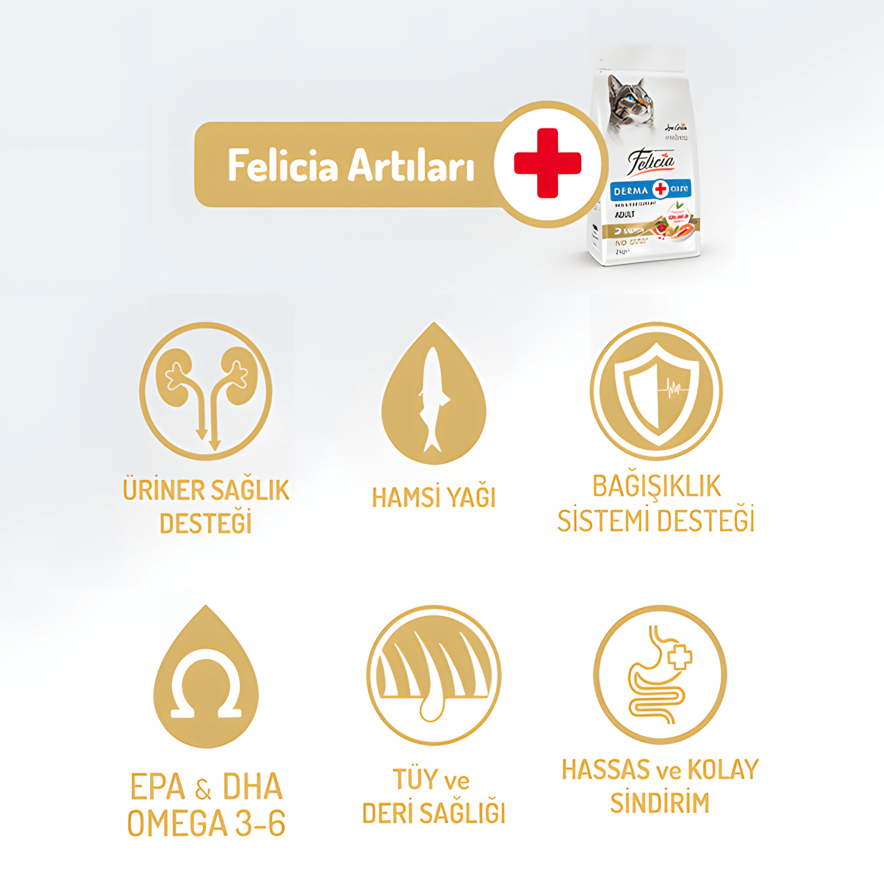 Felicia Az Tahıllı Somon Balıklı Hypoallergenic Kolajenli Yetişkin Kedi Maması 12Kg