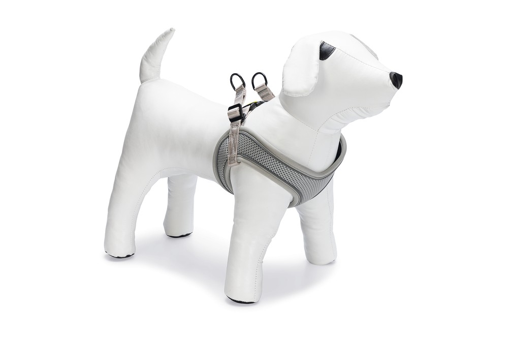 Beeztees Köpek Göğüs Tasması, Neopren, Gri, S, 38-44cm