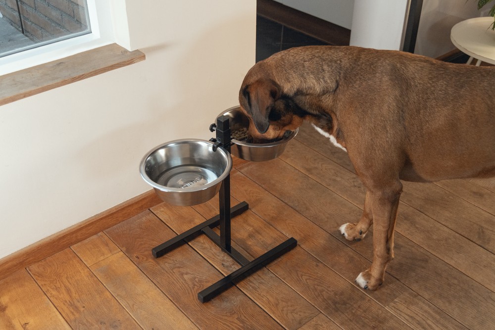 Beeztees Köpek İkili Mama Su Kabı, Ayaklı, Paslamaz Çelik, 28cm, 2x4,5L